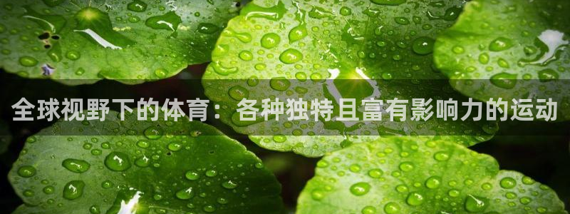 全球视野下的体育：各种独特且富有影响力的运动
