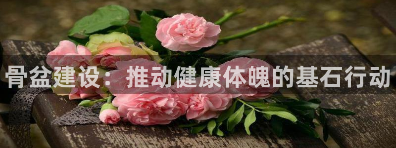 骨盆建设：推动健康体魄的基石行动