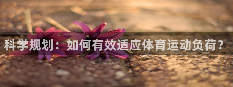 科学规划：如何有效适应体育运动负荷？