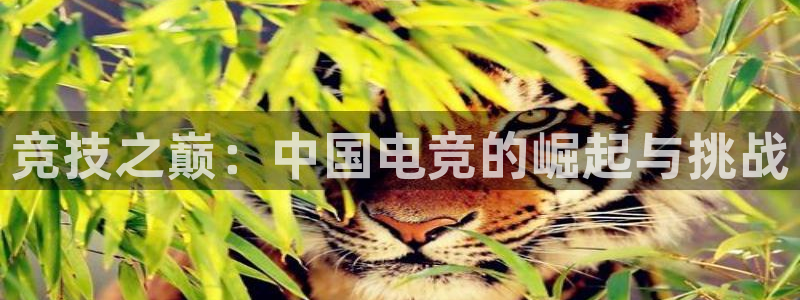 竞技之巅：中国电竞的崛起与挑战