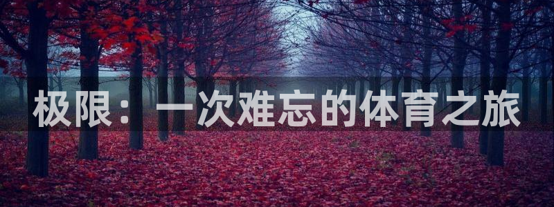 极限：一次难忘的体育之旅