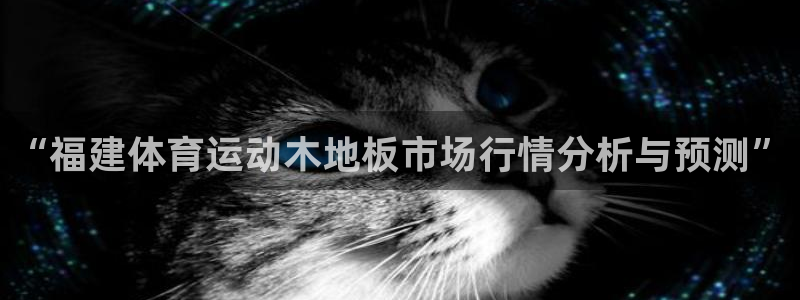 “福建体育运动木地板市场行情分析与预测”