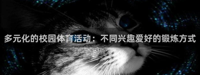 多元化的校园体育活动：不同兴趣爱好的锻炼方式